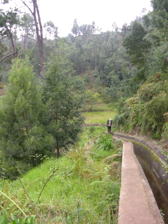 015_levada_nova.jpg