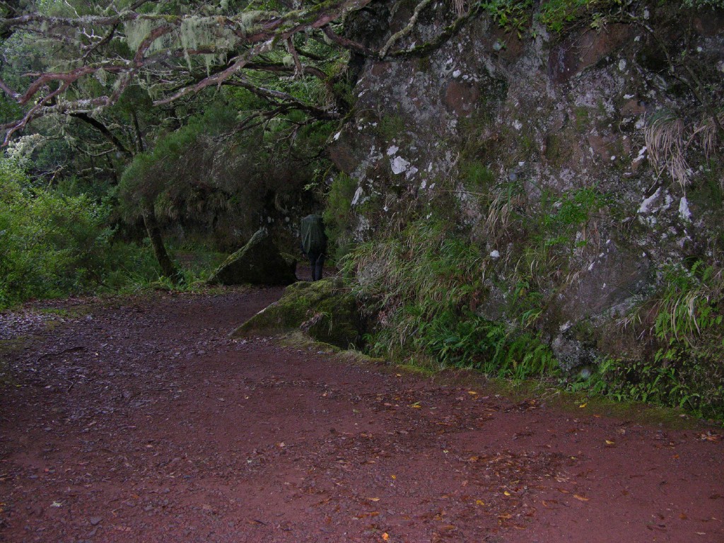 022_levada_do_risco.jpg