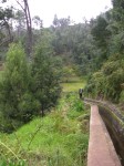 015_levada_nova.jpg