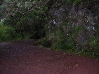022_levada_do_risco.jpg