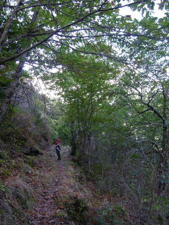 043_alter_hoehenweg.jpg