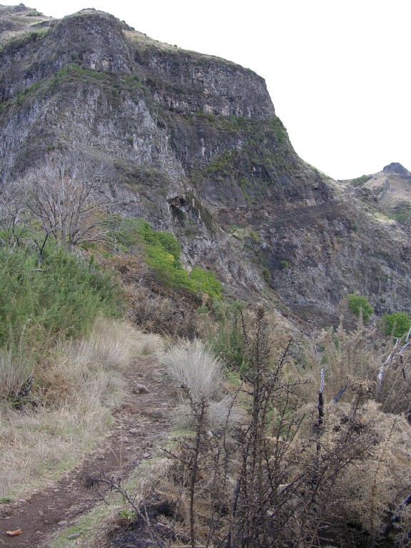 052_flanke_pico_grande.jpg