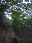 043_alter_hoehenweg.jpg