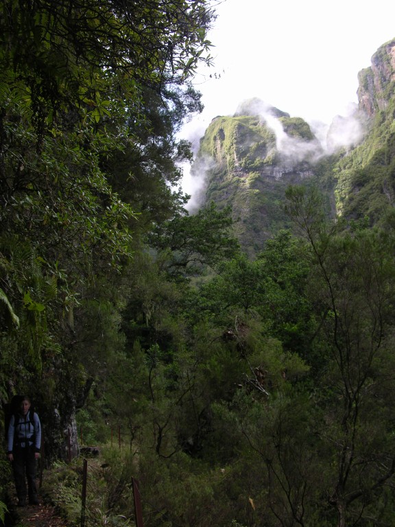 124_pico_canario.jpg