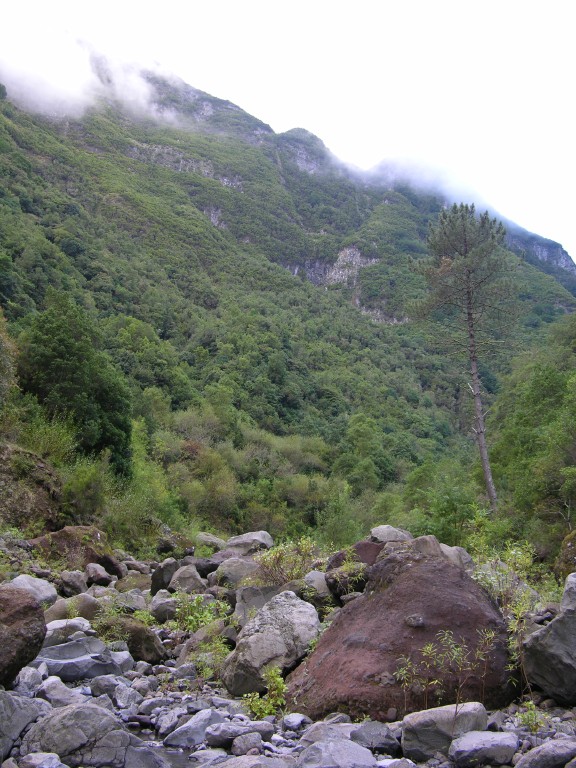 139_ribeira_da_metada.jpg