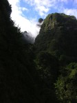 126_pico_canario.jpg