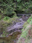 130_ribeira_seca_do_faial.jpg