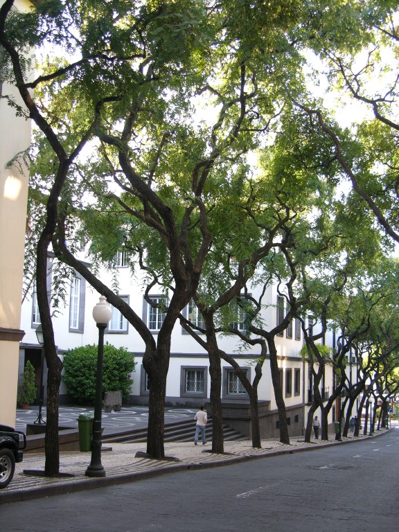 158_allee.jpg