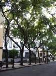 158_allee.jpg
