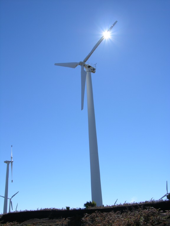 174_windrad.jpg