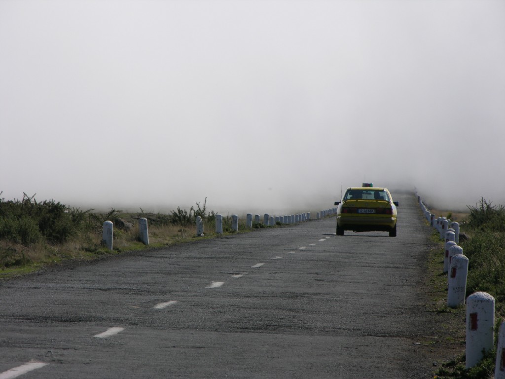 186_nebelbank.jpg