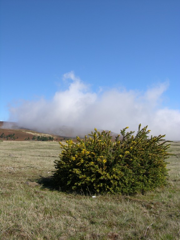 189_wolkenfetzen.jpg