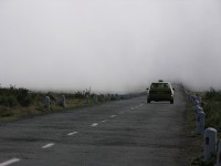 186_nebelbank.jpg
