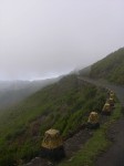 192_strasse_nach_calheta.jpg