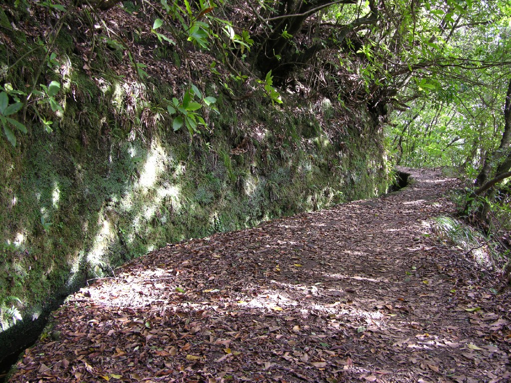208_levada_do_furado.jpg
