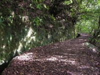 208_levada_do_furado.jpg