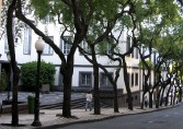 Funchal