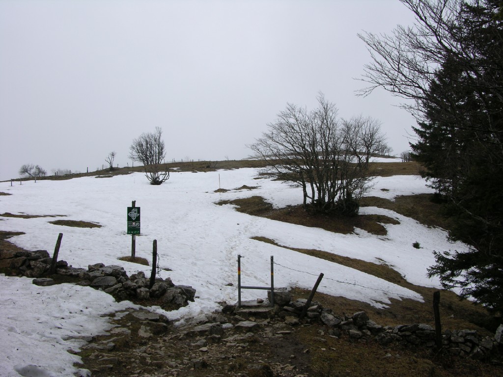 014_hochflaeche.jpg