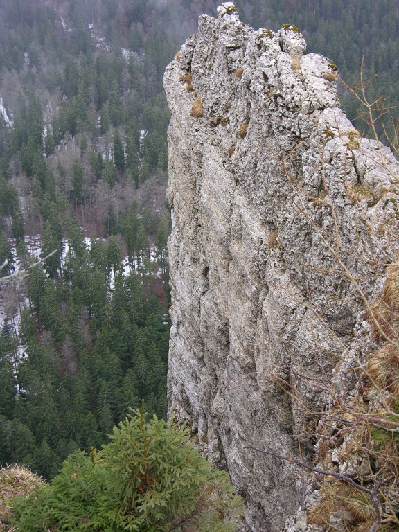 021_felsnase.jpg