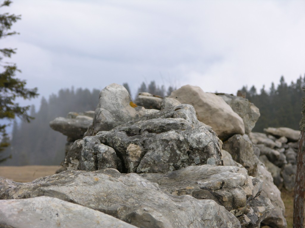 025_steinmauer.jpg