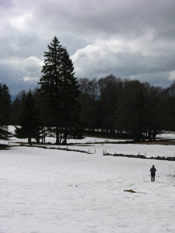 035_regenhimmel.jpg