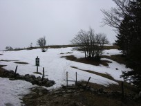 014_hochflaeche.jpg
