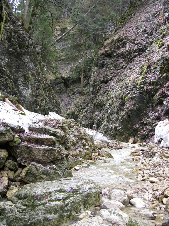 005_canyon.jpg