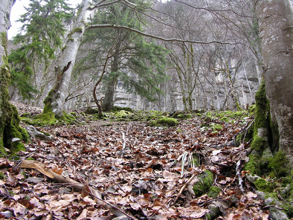008_karge_landschaft.jpg