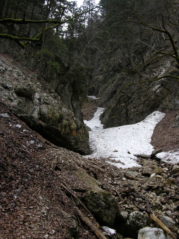 010_geroellhalden.jpg