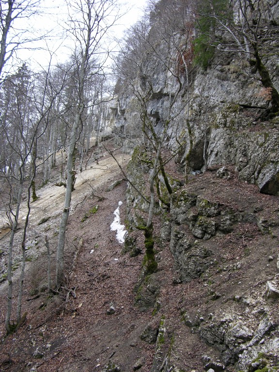 015_mondlandschaft.jpg