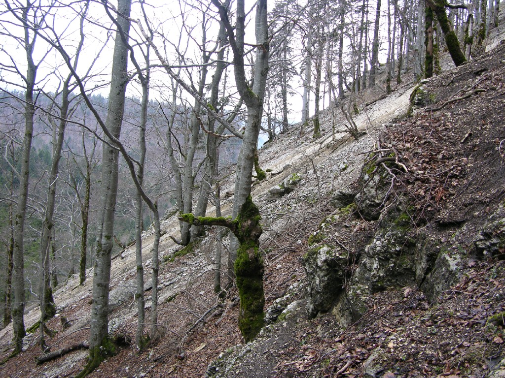 016_geroellhalde.jpg