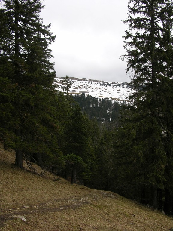 025_chasseral.jpg
