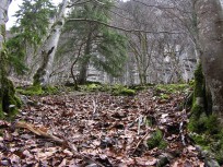 008_karge_landschaft.jpg