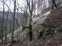 016_geroellhalde.jpg