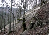 Durch die Combe Crede