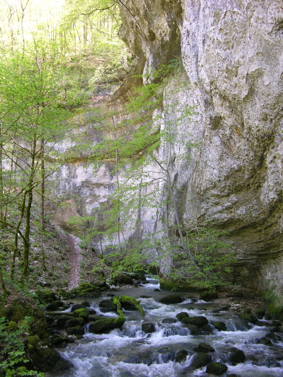 019_bachlauf.jpg