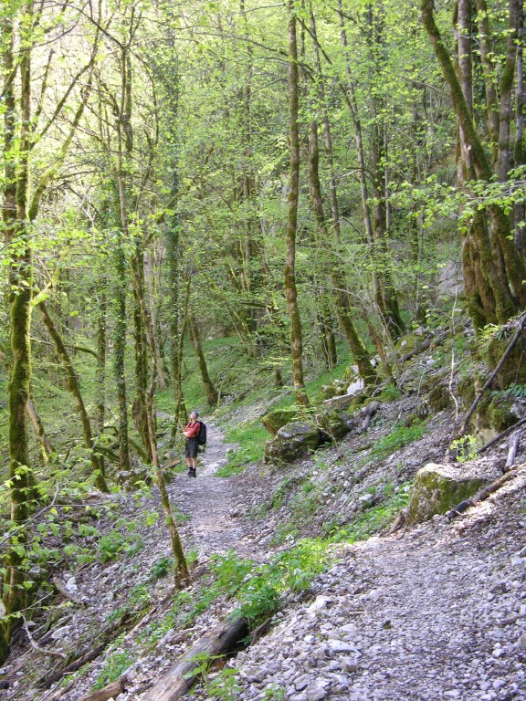 024_wanderweg.jpg