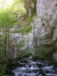 019_bachlauf.jpg