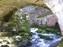 031_bruecke.jpg