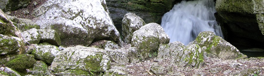 Geschmacksverst&auml;rker
