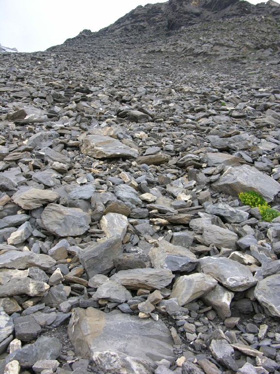 006_geroellhalde.jpg