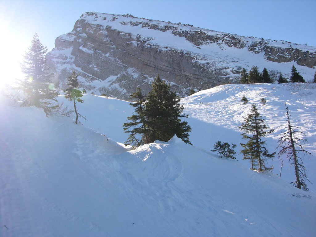 dscn2269.jpg