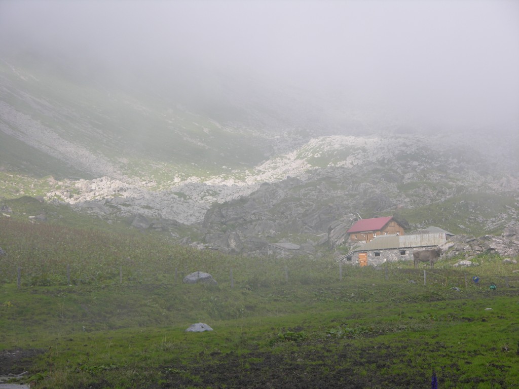 dscn2795.jpg