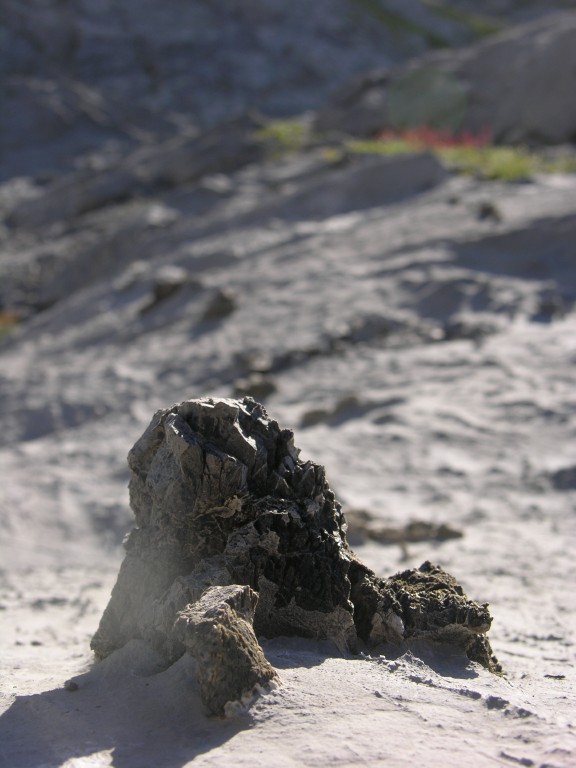 dscn2812.jpg