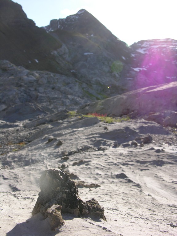 dscn2813.jpg