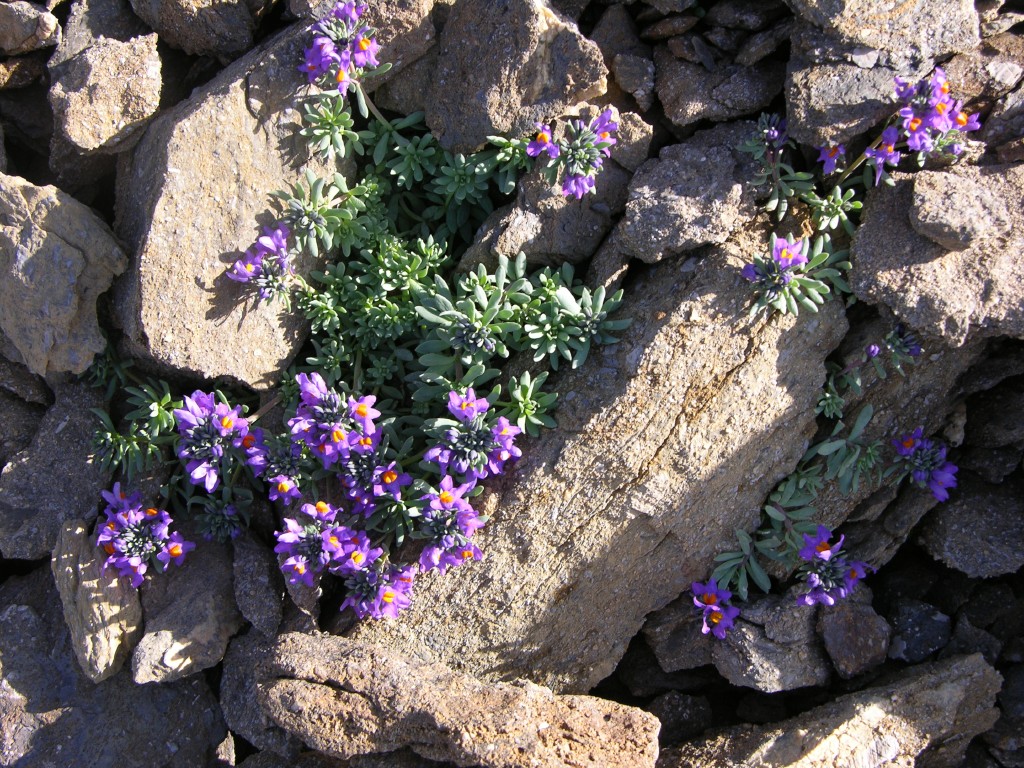 dscn2818.jpg