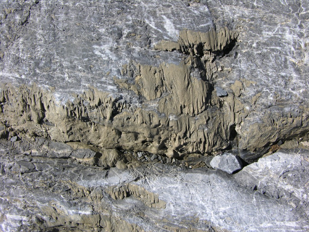 dscn2821.jpg