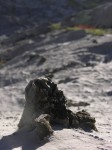 dscn2812.jpg