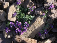 dscn2818.jpg