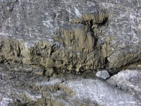 dscn2821.jpg